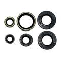 Outlaw Racing Engine Oil Seal Kit For KTM 65SX, 1998-2008 OR3493